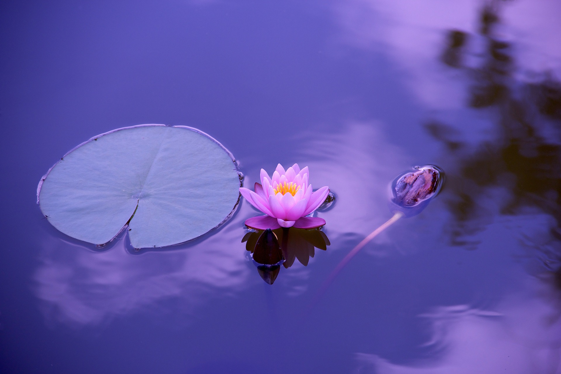 inloop meditatie